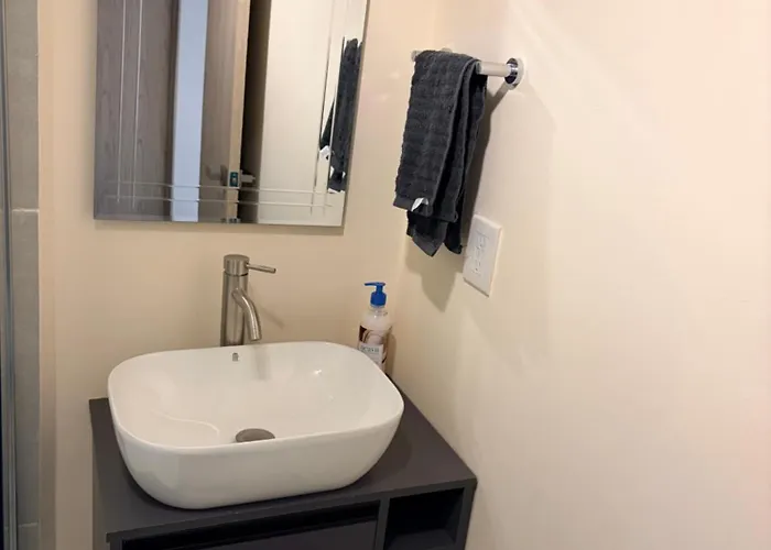 Homestay Privada Con Bano Privado Se Comparten Areas Comunes Mexico City